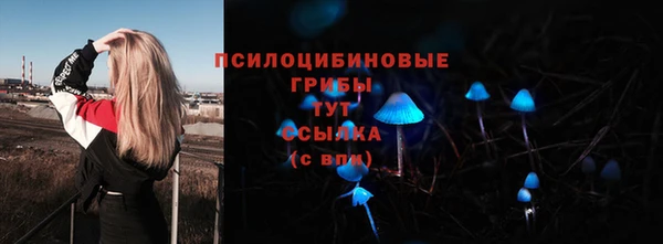 спайс Абаза